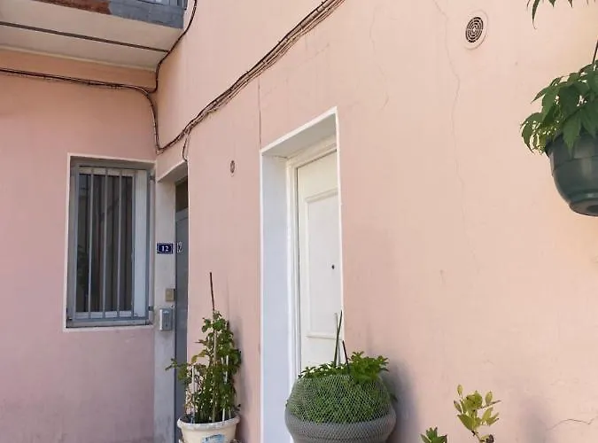 Apartman Urban Jungle